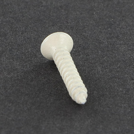 1 x Vite Per Lamiera Testa Forata Bombata Pozy 2,9X16 Zincate Laccato Bianco R9003