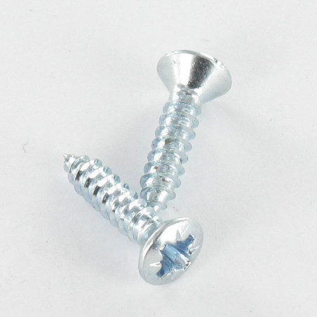 1 x Vite Per Lamiera Testa Forata Bombata Pozy 4,8X45 Zincate 26780