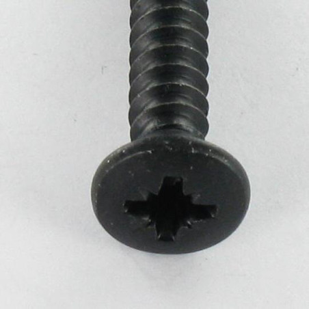 1 x Vite Per Lamiera Testa Forata Bombata Pozy 4.8X16 Acciaio Zincato Nero