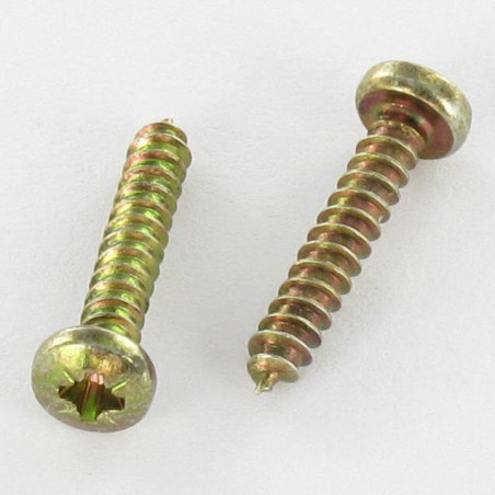 1 x Vite Per Lamiera testa bombata larga Pozy 3,9X30 Bicromato