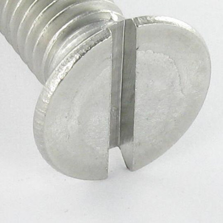 1 x Vite Per Metalli Testa Forata Con Intaglio M4X20 Acciaio Inox A4