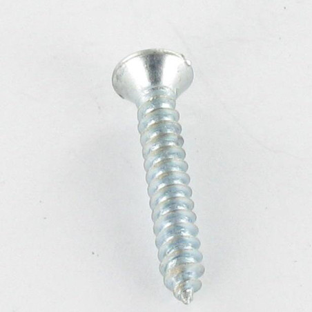 1 x Vite Per Lamiera Testa Forata Bombata Con Intaglio 4,2X50 Zincate