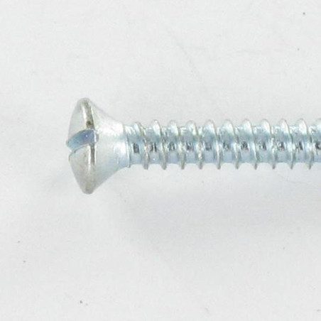 1 x Vite Per Lamiera Testa Forata Bombata Con Intaglio 3,5X25 Zincate