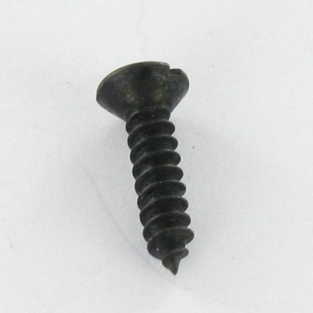 1 x Vite Per Lamiera Testa Forata Bombata Con Intaglio 4.8X25 Acciaio Zincato Nero