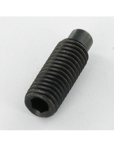 1 x Vite Per Metalli Senza Testa Con Cava...