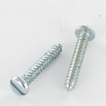 1 x Vite Per Lamiera Testa Cilindrica Con Intaglio 4.8X16 Zincate