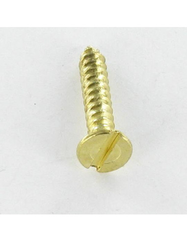 1 x Vite Per Lamiera Testa Forata Con Intaglio...