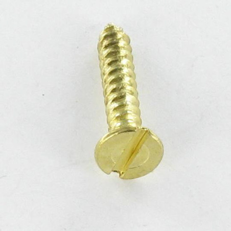 1 x Vite Per Lamiera Testa Forata Con Intaglio 2,9X16 Acciaio Ottonato