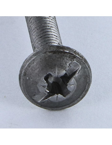 1 x Vite Testa Poelier Larga Pozy Con Intaglio...