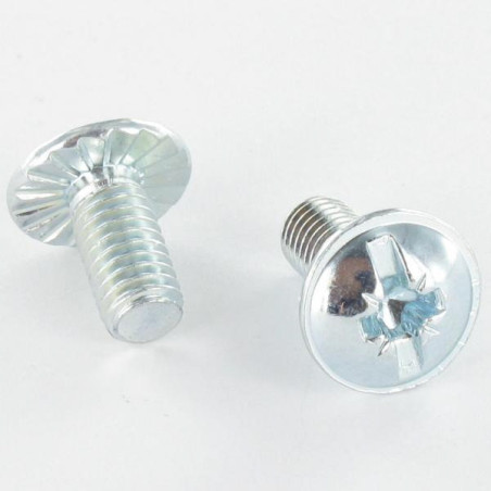 1 x Vite Testa Poelier Larga Pozy Con Intaglio M6X15 Dentellato Zincate