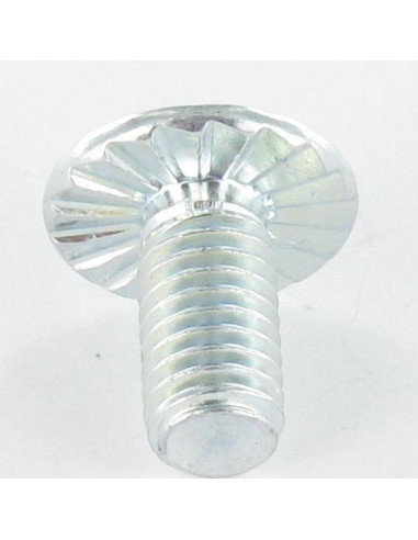 1 x Vite Testa Poelier Larga Pozy Con Intaglio...