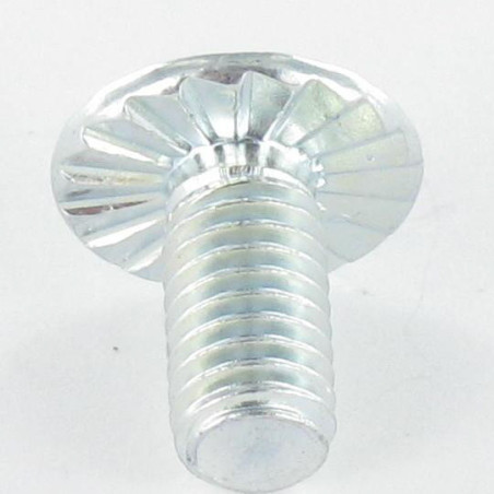 1 x Vite Testa Poelier Larga Pozy Con Intaglio M6X15 Dentellato Zincate