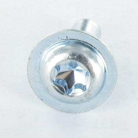 1 x Vite Per Metalli Testa Poelier Larga T30 M6X12 Classe 10.9 Zincate
