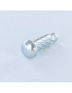 Rivetto Autofilettante Tipo U Testa Poelier 2,54X 3/16...