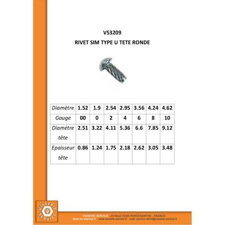 1 x Rivetto Autofilettante Tipo U Testa Poelier 2,54X 3/16 Zincate