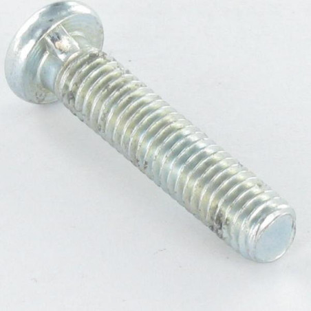 1 x Vite Per Metalli Testa Cilindrica Senza Intaglio M6X28 1 Segale cornuta Zincate