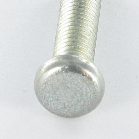 1 x Vite Per Metalli Testa Cilindrica Senza Intaglio M6X28 1 Segale cornuta Zincate
