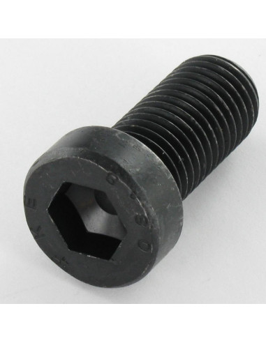 1 x Vite Per Metalli A Esagono Incassato Testa...