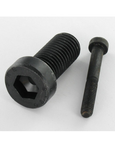 1 x Vite Per Metalli A Esagono Incassato Testa...
