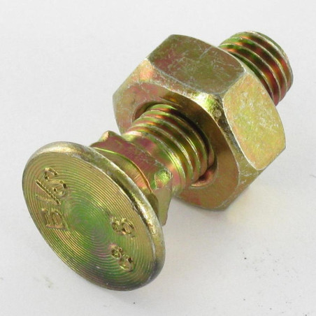 1 x Bullone A Testa Fresata Testa Forata Colletto Quadrato M10X50 Classe 8.8 Bicromato