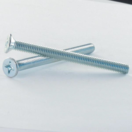 1 x Vite Per Metalli Testa Forata Phillips 3 M6X70 Zincate