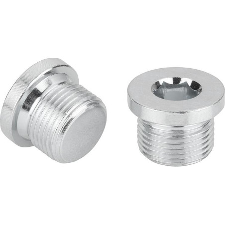 Tappo Esagono Incassato Con Flangia Esagono Incassato Acciaio Inox A2 GAS